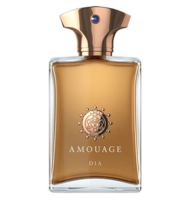 Amouage Dia EDP Man 100 ml
