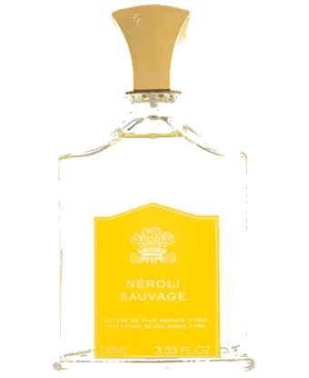 Xerjoff 17/17 Damarose EDP 50 ml - Image 4