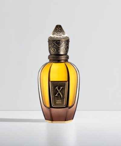 Xerjoff Aqua Regia EDP 100 ml