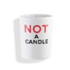 Juliette has a gun Not A Perfume Candle 180 g
