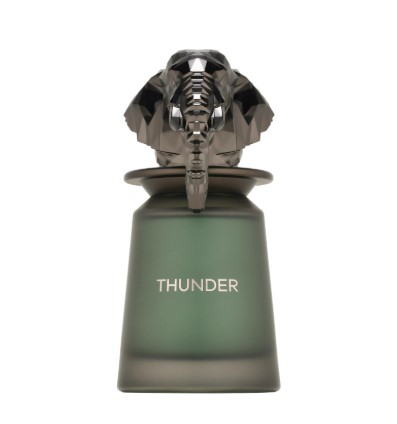 French Avenue Thunder EDP 100 ml