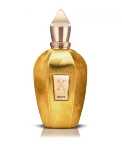 Xerjoff Accento Overdose EDP 100 ml Tester