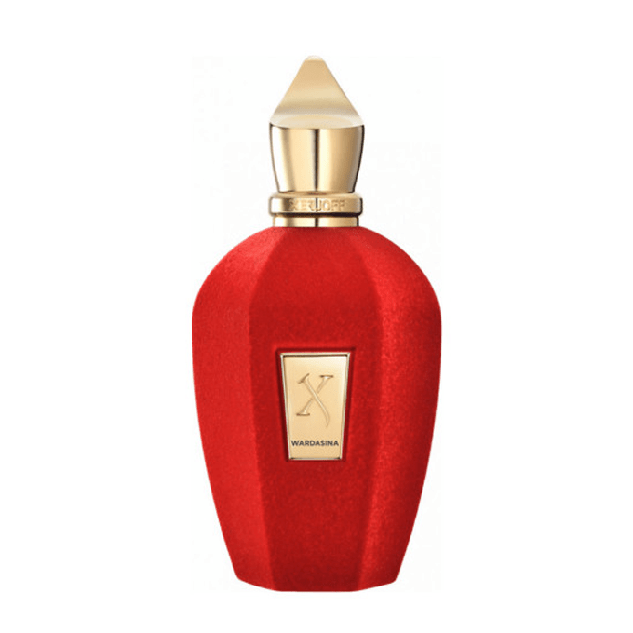 Xerjoff Tony Iommi Monkey Special Extrait De Parfum 50 ml - Image 10