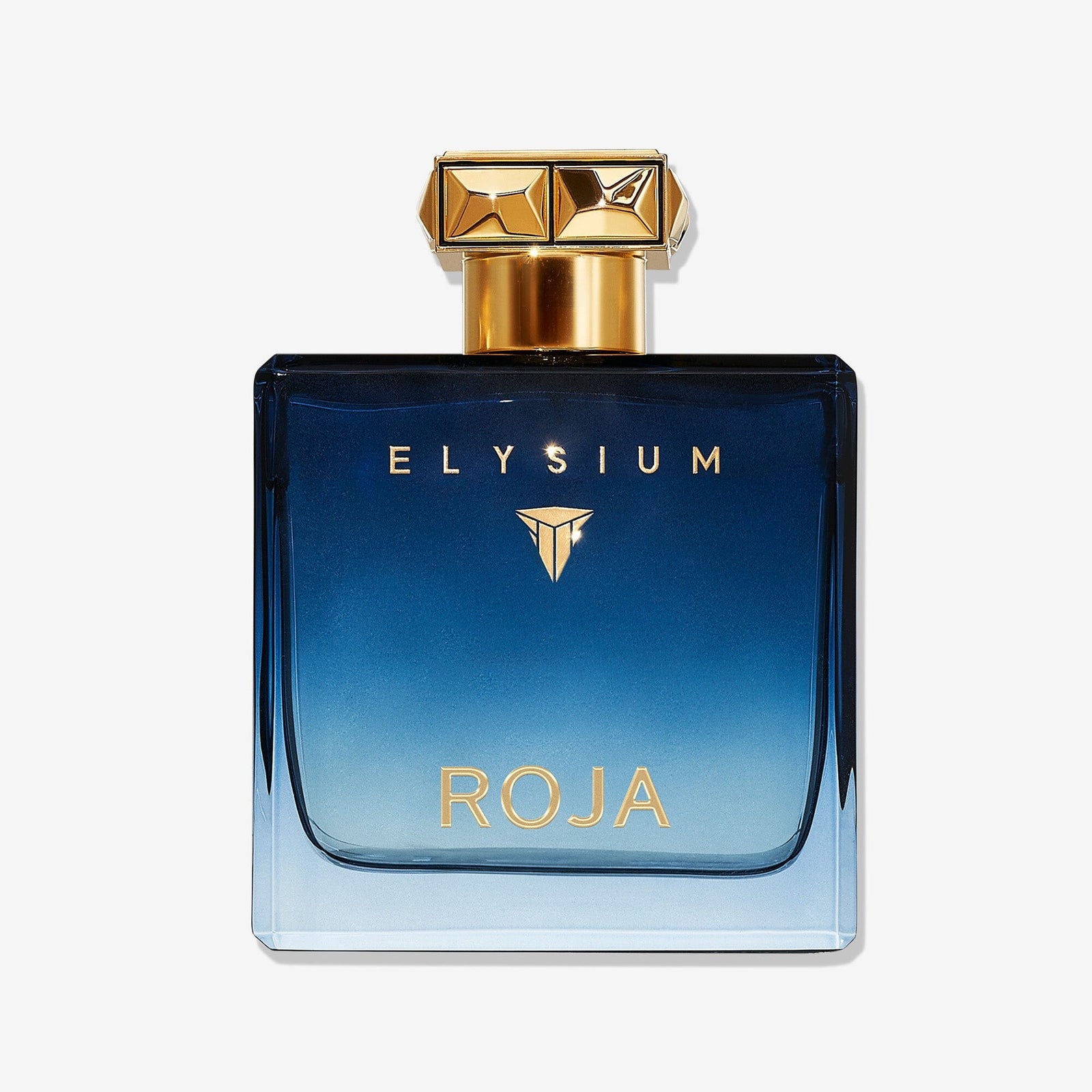 Roja Parfums Elysium Pour Homme EDP 100 ml