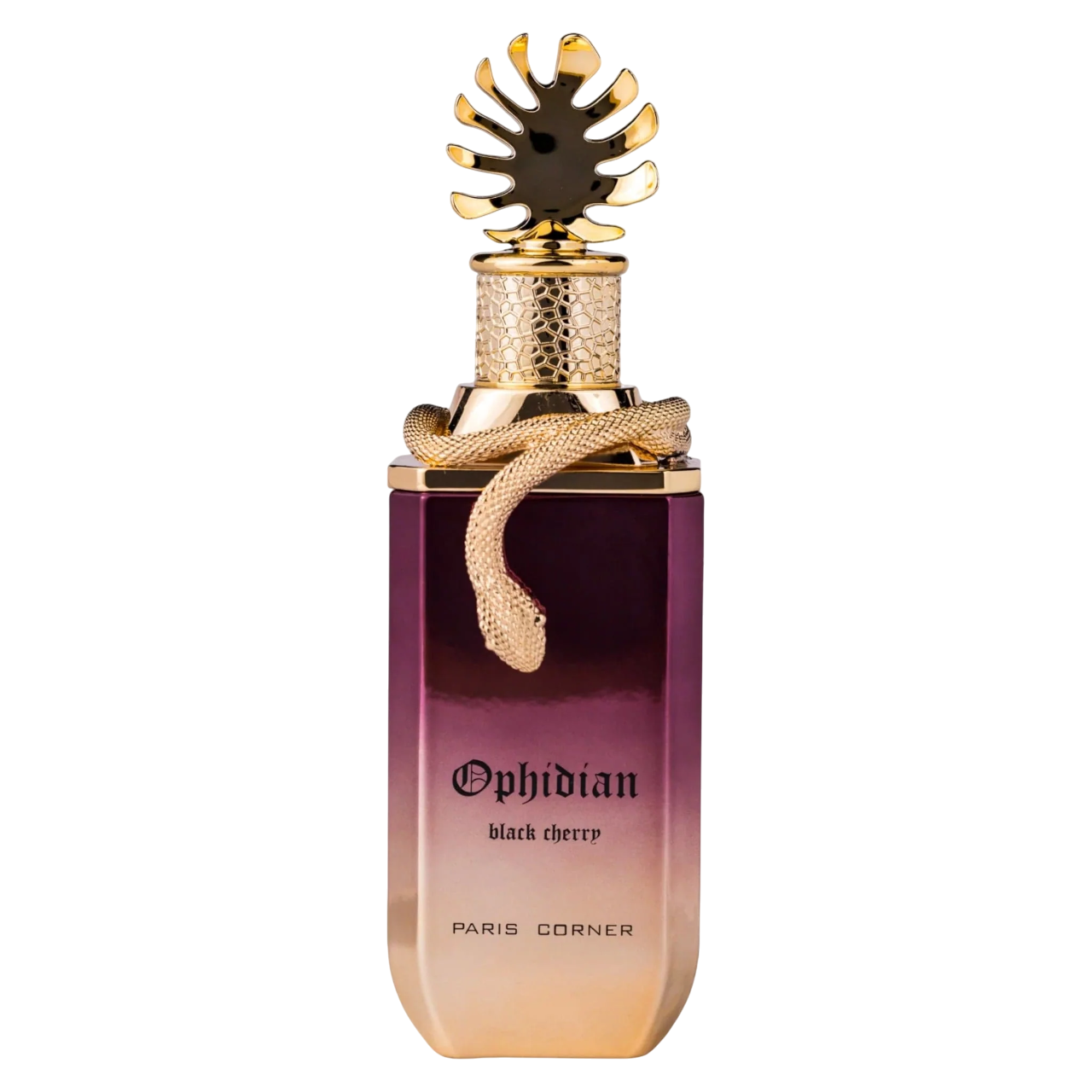 Paris Corner, Ophidian Black Cherry, Kvepalų vanduo, Uniseksas, 100 ml