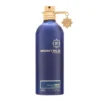 Montale Aoud Ambre EDP 100 ml