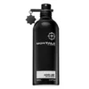 Montale Aoud Lime EDP 100 ml