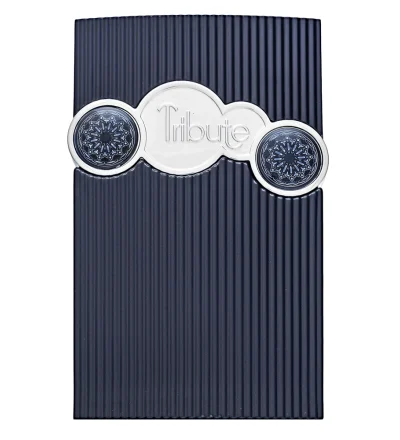 Afnan Tribute Blue EDP 100 ml