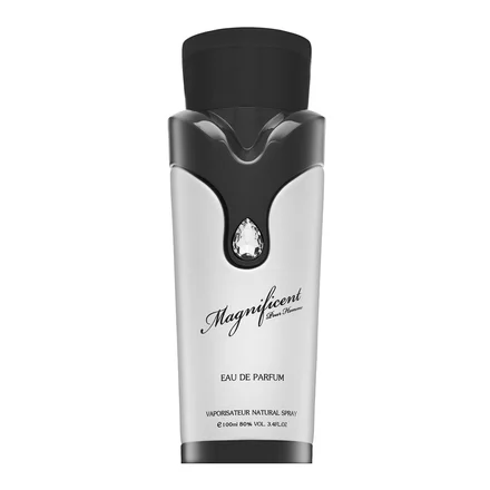 Armaf Magnificent Pour Homme EDP 100 ml