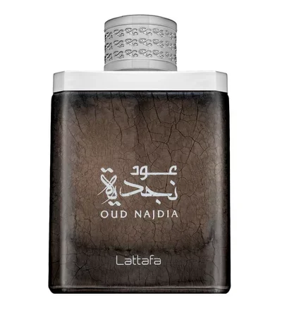 Lattafa Oud Najdia EDP 100 ml