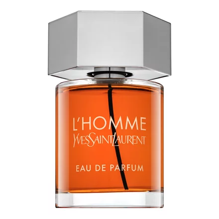 Yves Saint Laurent L'Homme EDP 100 ml