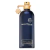 Montale Amber & Spices EDP 100 ml